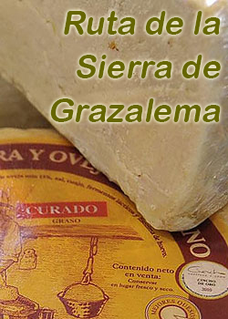Esta es la Descripción de la imagen
